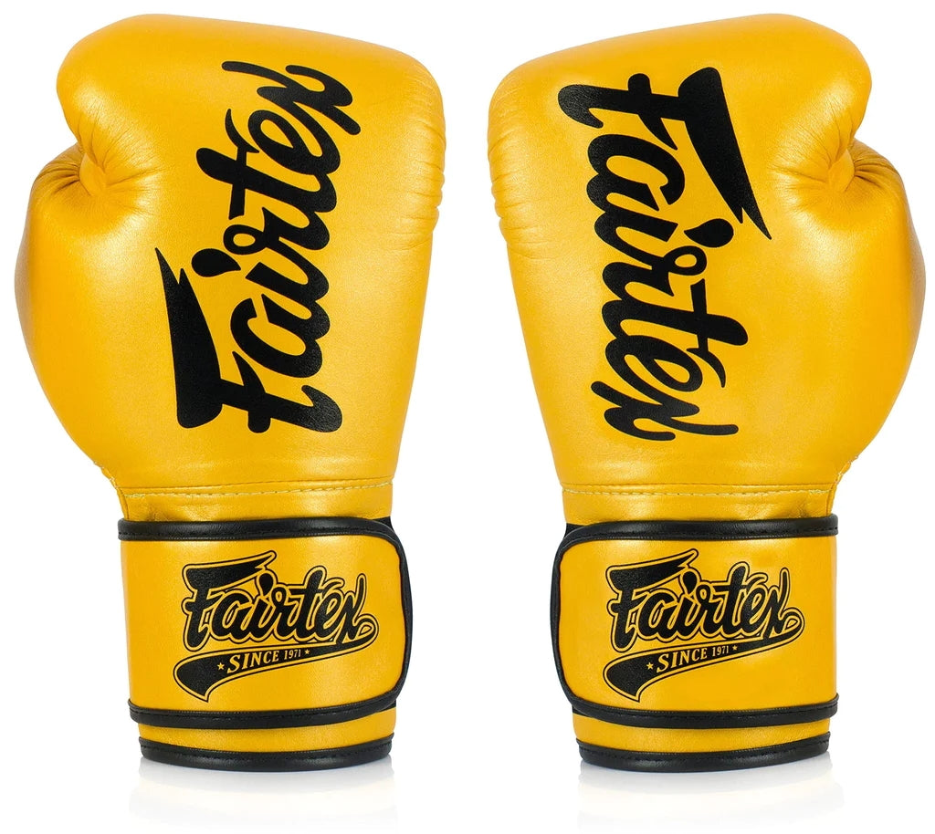 Fairtex BGV18 Boxing Gloves