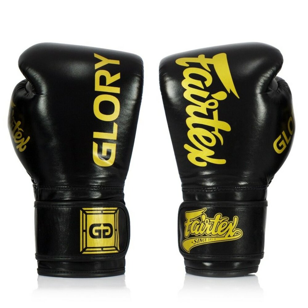 Fairtex BGVG1 Boxing Gloves