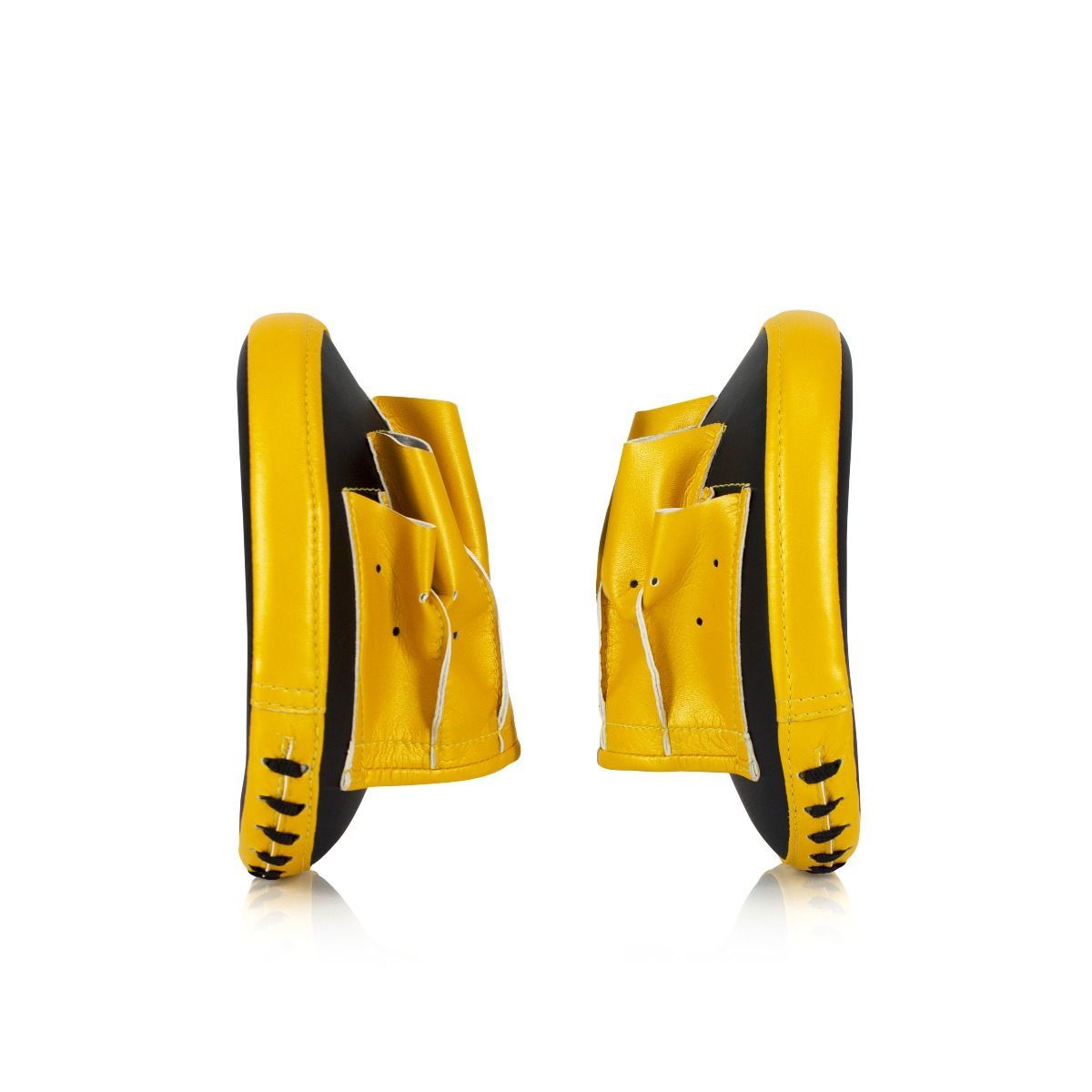 Fairtex Speed & Accuracy Focus Mitts - FMV15