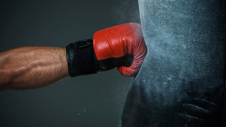 Choosing The Right Boxing Gloves
