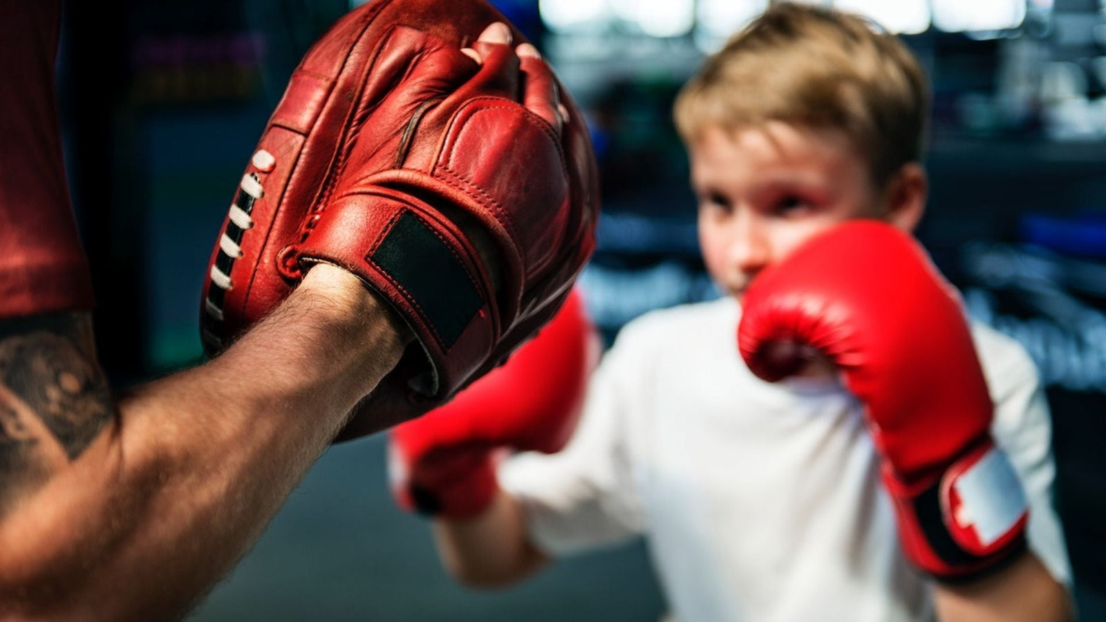 Choosing The Best Punching Mitts For Training