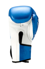 Sting Armapro Boxing Glove