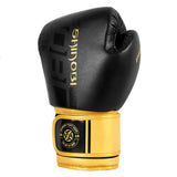 Shinobi Creed Boxing Glove / Black/Gold