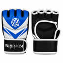 Shinobi Raven MMA Gloves