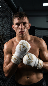 Viking Chaos MMA Sparring Gloves