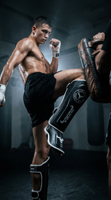 Viking Diablo Shinguards