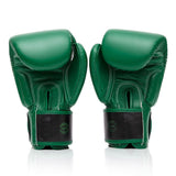 Fairtex Boxing Gloves BGVPREM - Resurrection