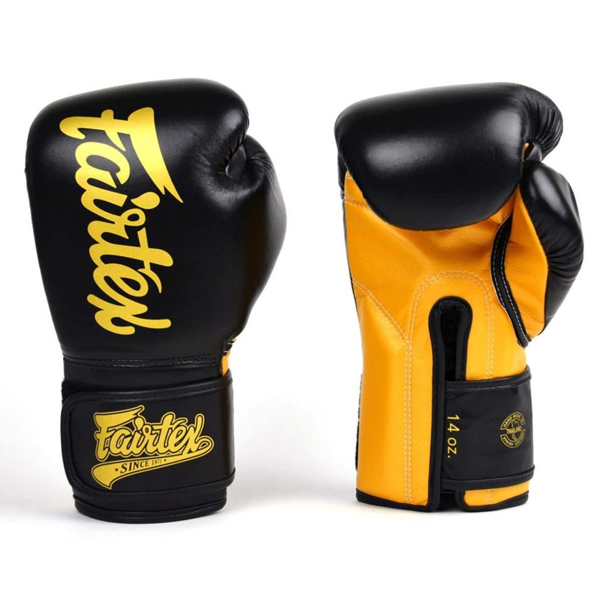 Fairtex BGV18 Boxing Gloves