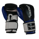 Viking immortal 2.0 Boxing Gloves