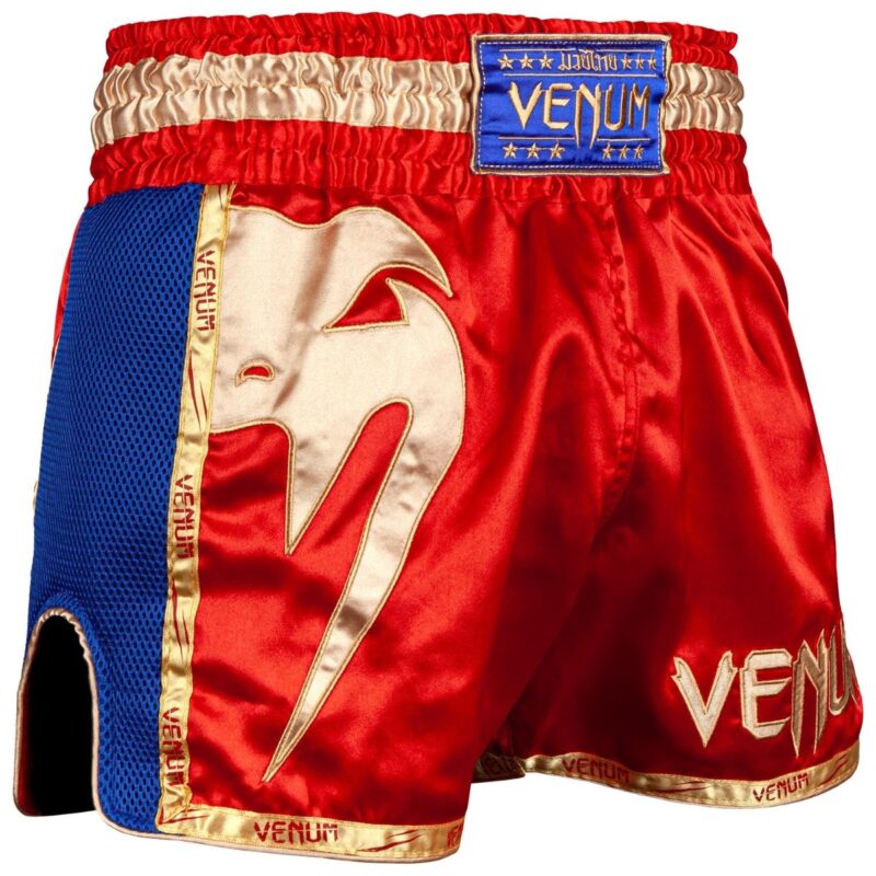 Venum Giant Muay Thai Shorts (New Colours)-25669