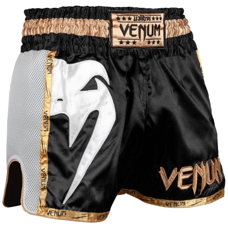 Venum Giant Muay Thai Shorts (New Colours)-25670