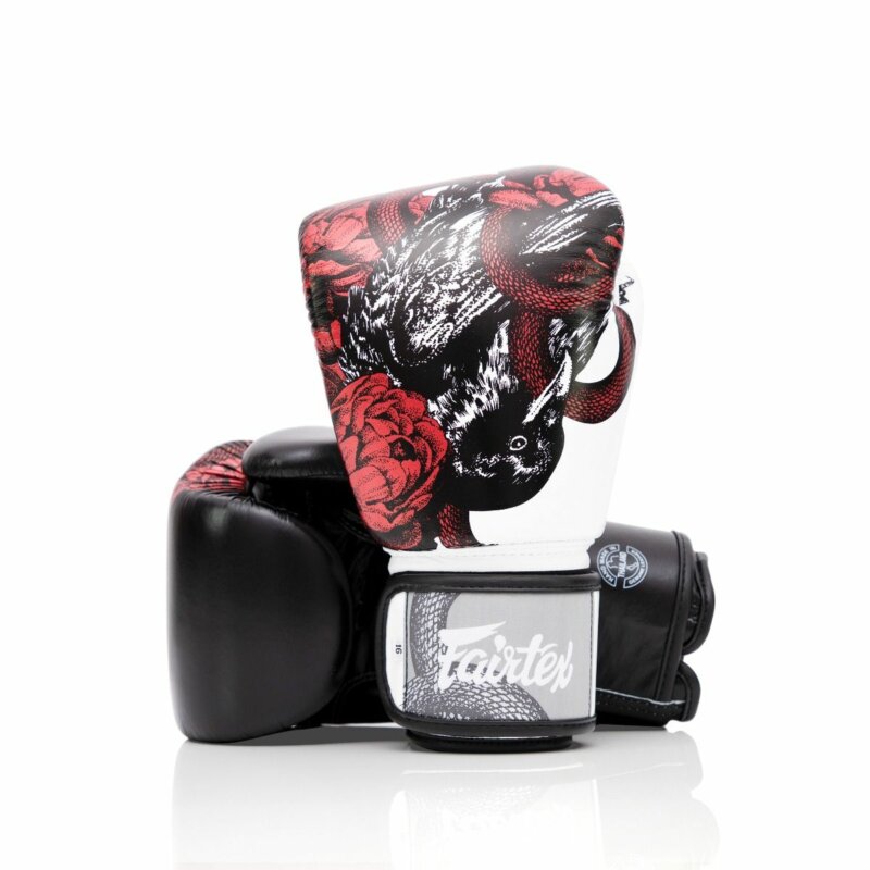 Fairtex Survival Boxing Gloves - Bgv24-37798