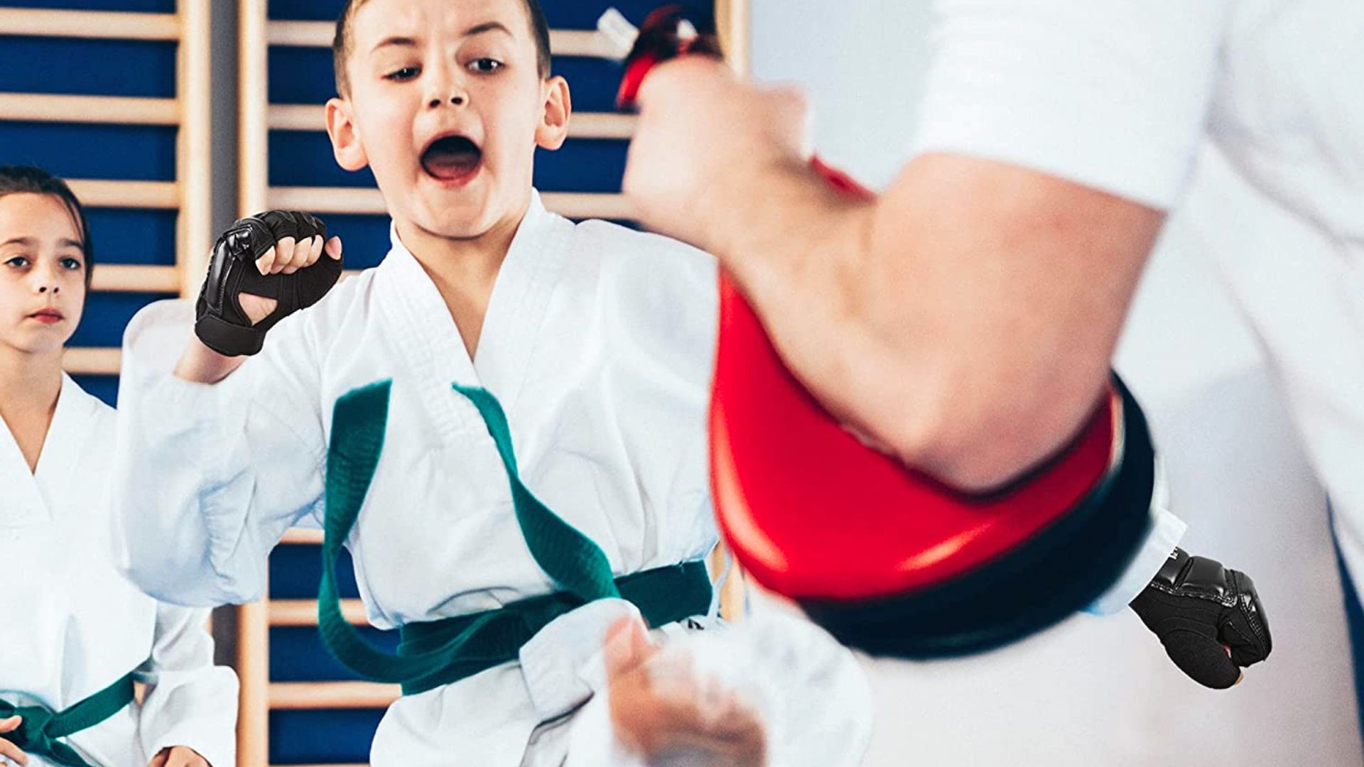 Do You Need Gloves For Karate? MMA Factory