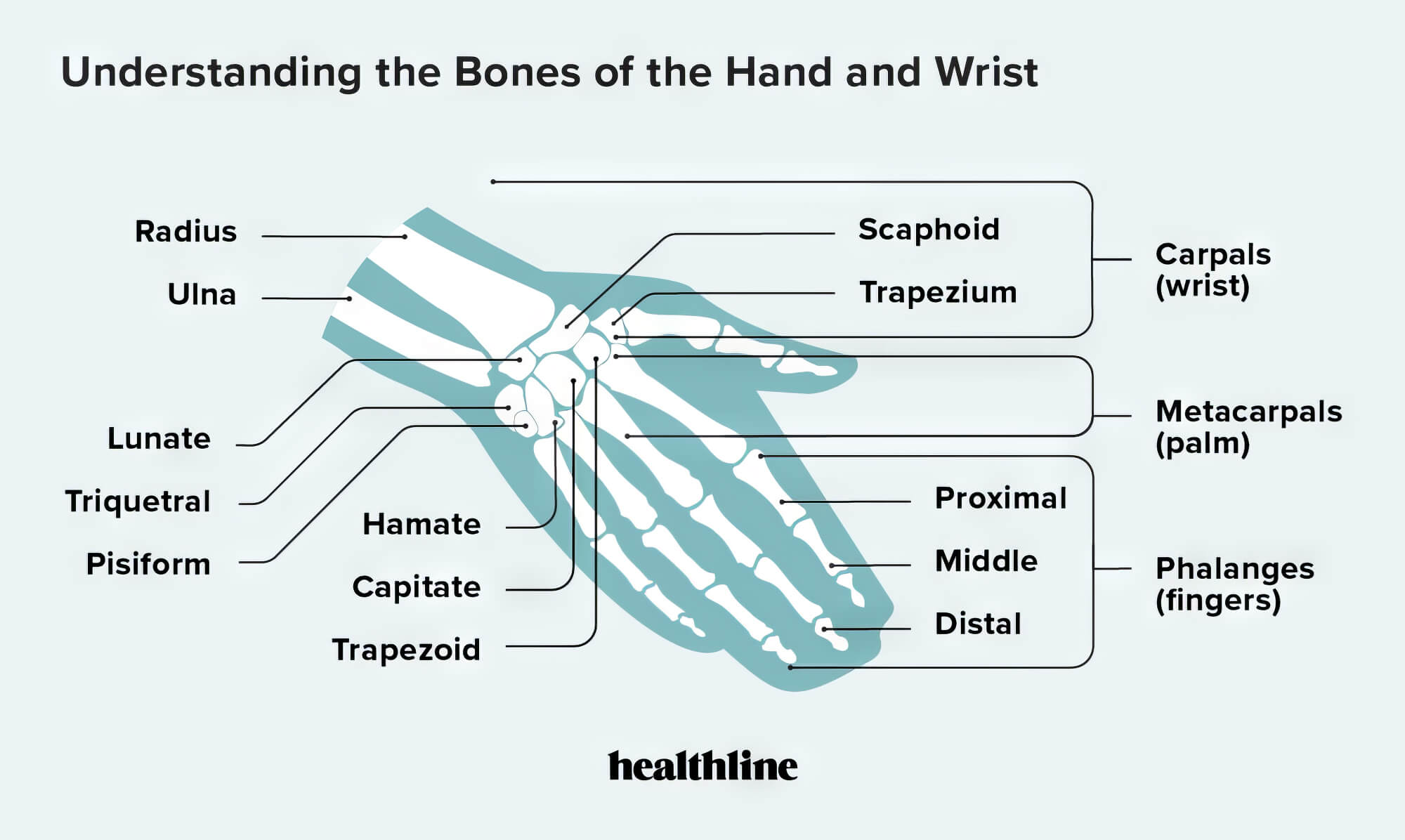 How To Use Finger Tape (Correctly) MMA Factory
